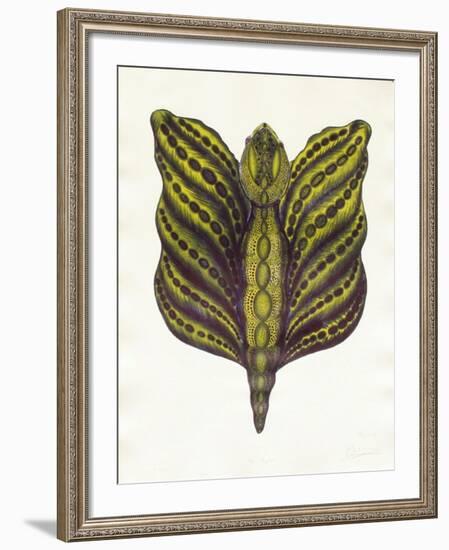 Mr Papillon II-Ben Banay-Framed Limited Edition