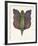 Mr Papillon III-Ben Banay-Framed Limited Edition