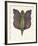 Mr Papillon III-Ben Banay-Framed Limited Edition