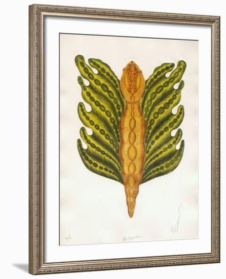 Mr Papillon-Ben Banay-Framed Limited Edition