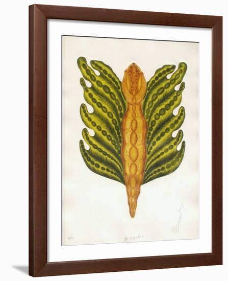 Mr Papillon-Ben Banay-Framed Limited Edition