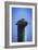 Mr. Pelican II-Alan Hausenflock-Framed Photographic Print