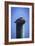 Mr. Pelican II-Alan Hausenflock-Framed Photographic Print