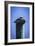 Mr. Pelican II-Alan Hausenflock-Framed Photographic Print