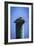 Mr. Pelican II-Alan Hausenflock-Framed Photographic Print