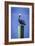 Mr. Pelican III-Alan Hausenflock-Framed Photographic Print