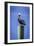 Mr. Pelican III-Alan Hausenflock-Framed Photographic Print