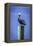 Mr. Pelican III-Alan Hausenflock-Framed Premier Image Canvas