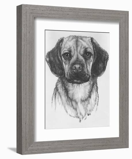 Mr. Puggle-Barbara Keith-Framed Giclee Print