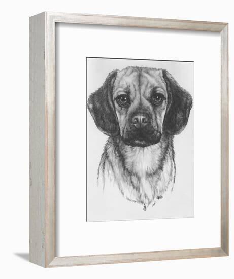 Mr. Puggle-Barbara Keith-Framed Giclee Print