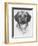 Mr. Puggle-Barbara Keith-Framed Giclee Print