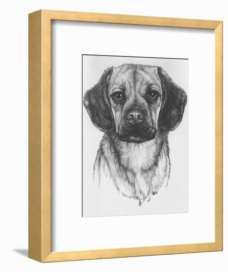 Mr. Puggle-Barbara Keith-Framed Giclee Print