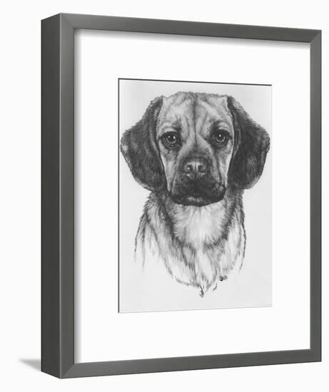 Mr. Puggle-Barbara Keith-Framed Giclee Print