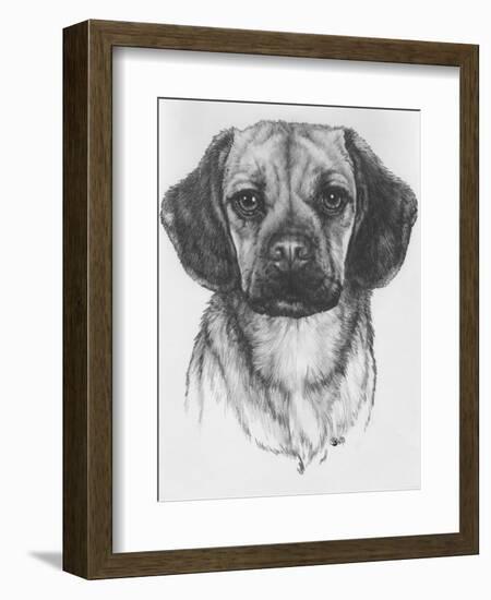 Mr. Puggle-Barbara Keith-Framed Giclee Print