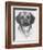 Mr. Puggle-Barbara Keith-Framed Giclee Print