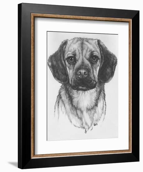 Mr. Puggle-Barbara Keith-Framed Giclee Print