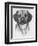 Mr. Puggle-Barbara Keith-Framed Giclee Print