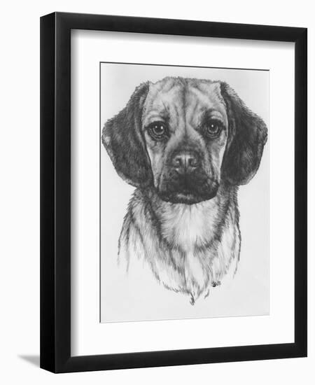 Mr. Puggle-Barbara Keith-Framed Giclee Print