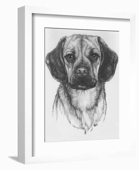 Mr. Puggle-Barbara Keith-Framed Giclee Print