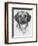 Mr. Puggle-Barbara Keith-Framed Giclee Print