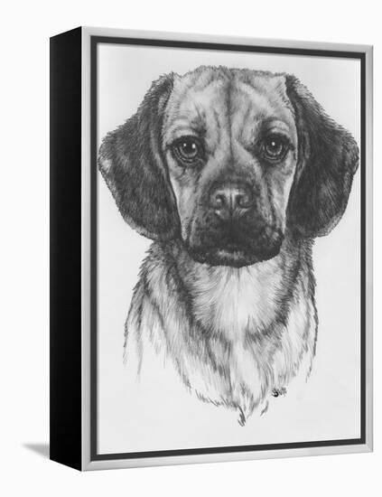 Mr. Puggle-Barbara Keith-Framed Premier Image Canvas