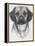 Mr. Puggle-Barbara Keith-Framed Premier Image Canvas