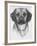 Mr. Puggle-Barbara Keith-Framed Giclee Print