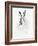 Mr. Rabbit-Alexis Marcou-Framed Art Print