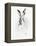 Mr. Rabbit-Alexis Marcou-Framed Stretched Canvas