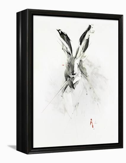 Mr. Rabbit-Alexis Marcou-Framed Stretched Canvas