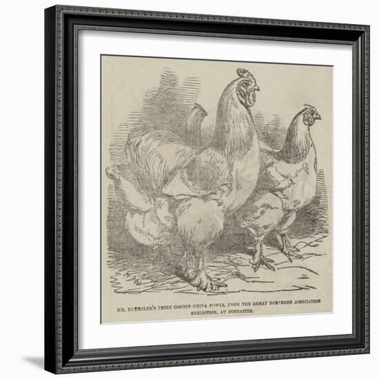 Mr Reynolds's Prize Cochin-China Fowls-Harrison William Weir-Framed Giclee Print
