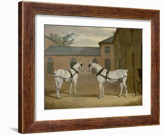 Mr. Sowerby's Grey Carriage Horses in His Coachyard at Putteridge Bury, Hertfordshire, 1836-John Frederick Herring Snr-Framed Giclee Print