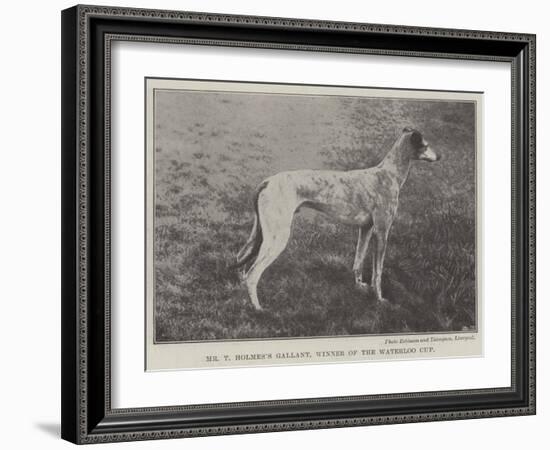 Mr T Holmes's Gallant, Winner of the Waterloo Cup-null-Framed Giclee Print