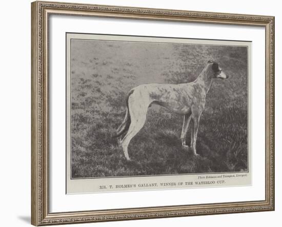 Mr T Holmes's Gallant, Winner of the Waterloo Cup-null-Framed Giclee Print