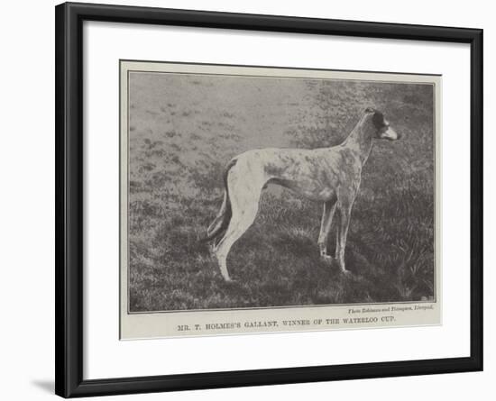 Mr T Holmes's Gallant, Winner of the Waterloo Cup-null-Framed Giclee Print