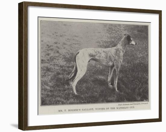 Mr T Holmes's Gallant, Winner of the Waterloo Cup-null-Framed Giclee Print