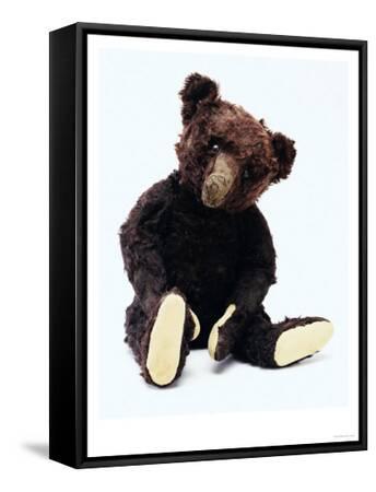rare teddy bears