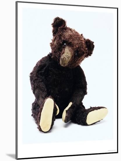 Mr. Teddy Bear Black, a Rare Black Steiff Bear, circa 1912-Steiff-Mounted Giclee Print