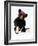 Mr. Teddy Bear Black, a Rare Black Steiff Bear, circa 1912-Steiff-Framed Giclee Print