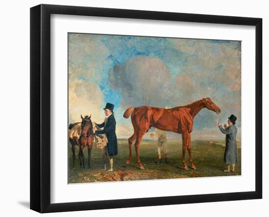 Mr Thornhills Sailor, A Chestnut Racehorse with a Groom and Trainer, 1817-Benjamin Marshall-Framed Giclee Print