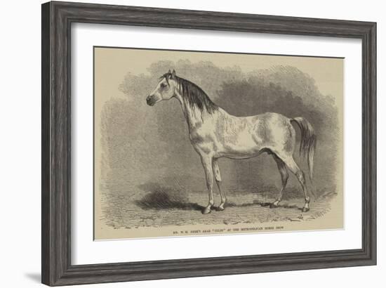 Mr W H Peek's Arab Selim at the Metropolitan Horse Show-null-Framed Giclee Print