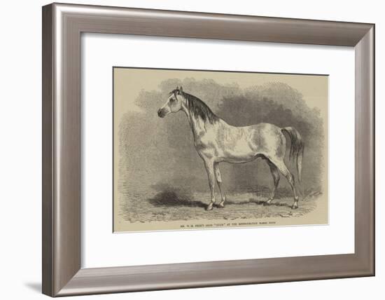 Mr W H Peek's Arab Selim at the Metropolitan Horse Show-null-Framed Giclee Print