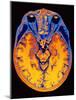 MRI Brain Scan-PASIEKA-Mounted Photographic Print