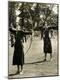 Photographic Print
