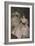 Mrs Carl Meyer and Her Children-John Singer Sargent-Framed Giclee Print