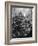 Mrs. George Sutton and Her Family Decorating Their Christmas Tree at Home-Ralph Crane-Framed Photographic Print