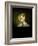 Mrs. Henry Lewis (Elizabeth Morton Woodson) 1838-39-George Caleb Bingham-Framed Giclee Print