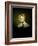 Mrs. Henry Lewis (Elizabeth Morton Woodson) 1838-39-George Caleb Bingham-Framed Giclee Print