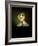 Mrs. Henry Lewis (Elizabeth Morton Woodson) 1838-39-George Caleb Bingham-Framed Giclee Print