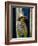 Mrs Hone in a Striped Dress, 1912-Sir William Orpen-Framed Giclee Print